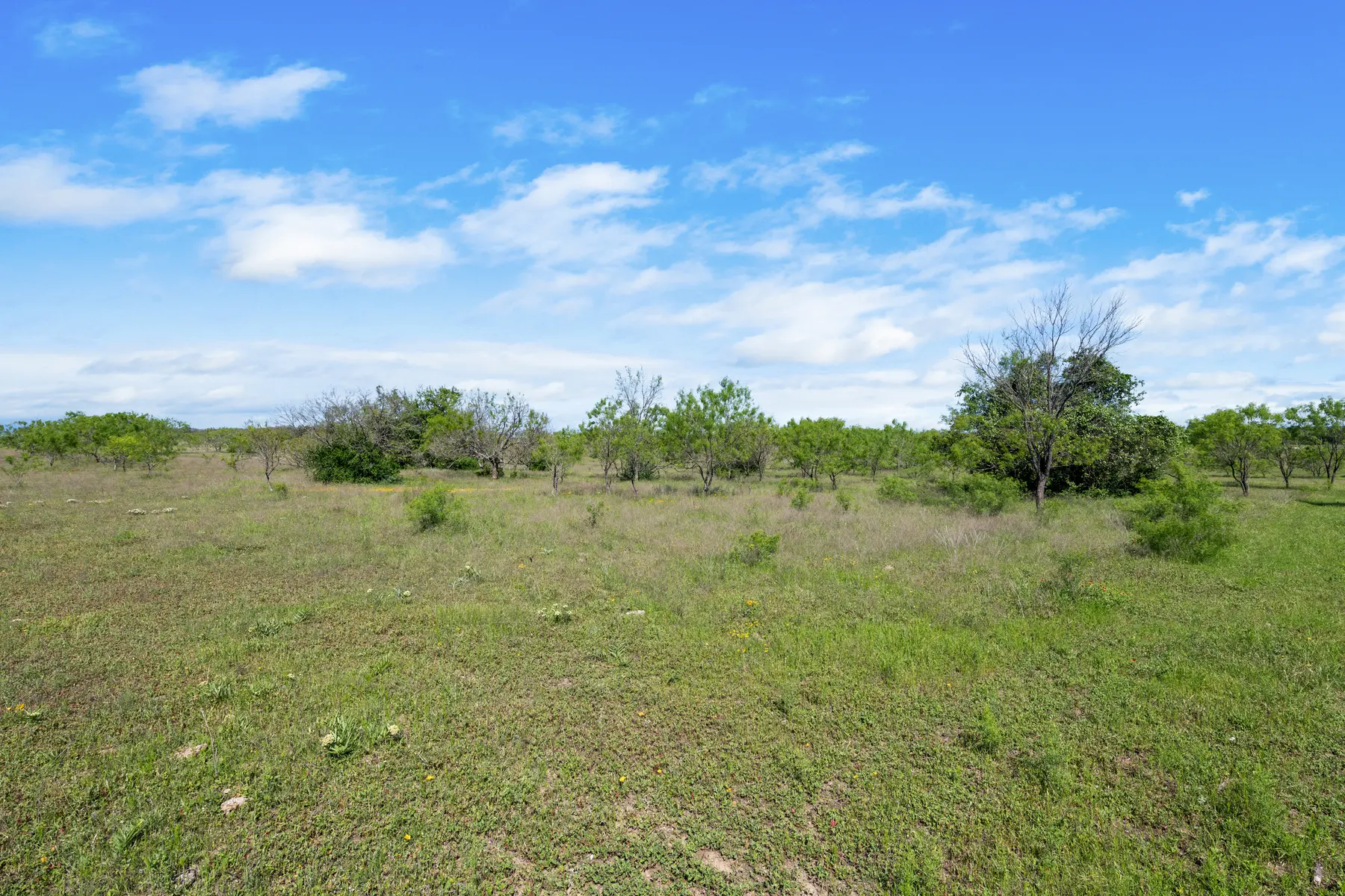 Liberty Hill — 23 to 46 Acres — Land view