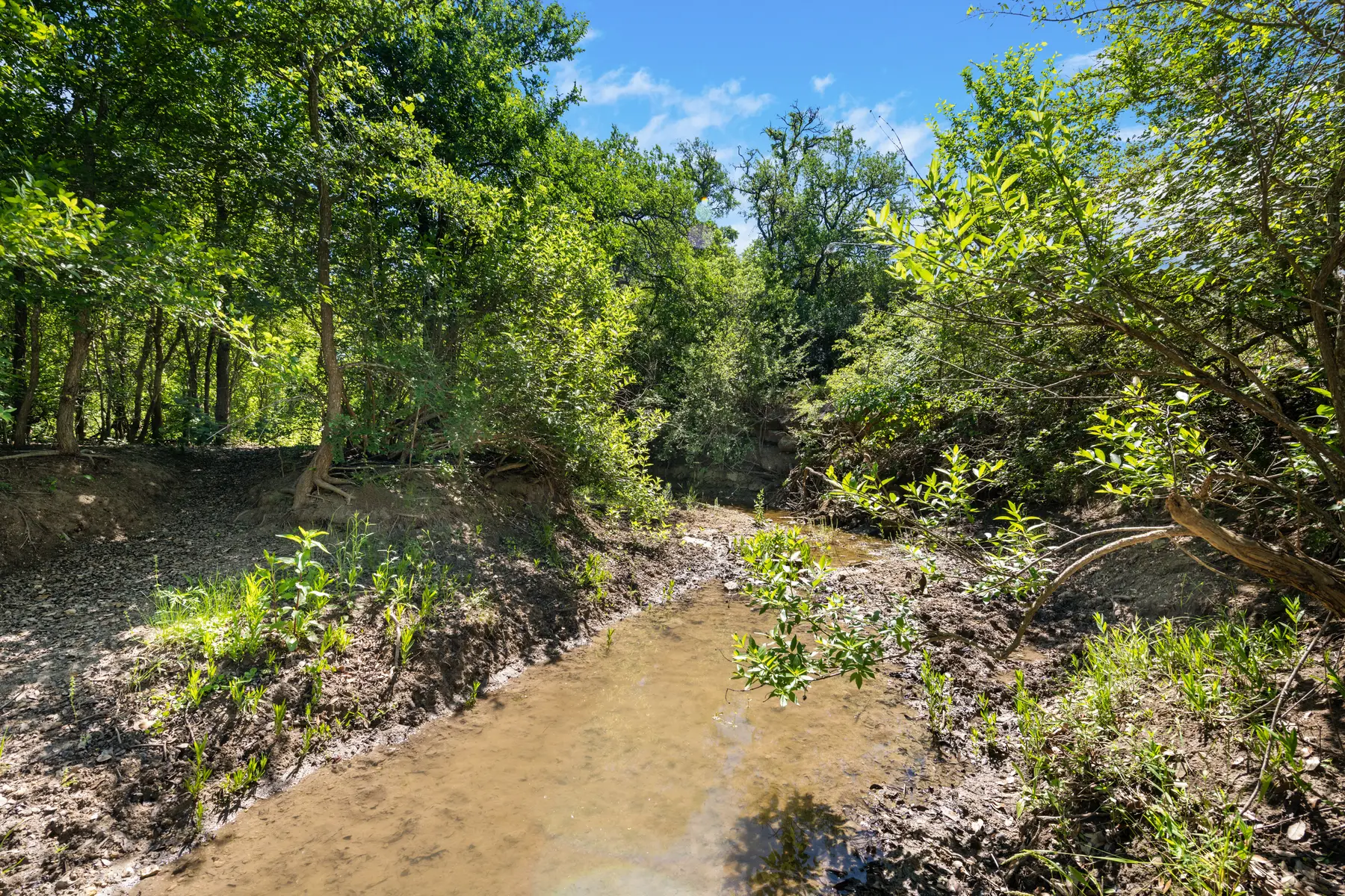 Liberty Hill — 23 to 46 Acres — Acreage